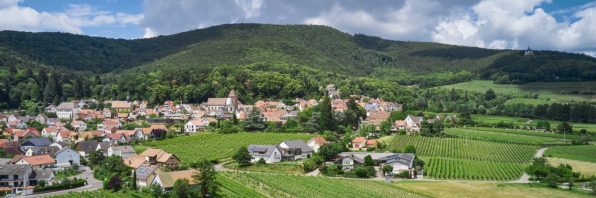 Weingut Nicklis - Zuhause